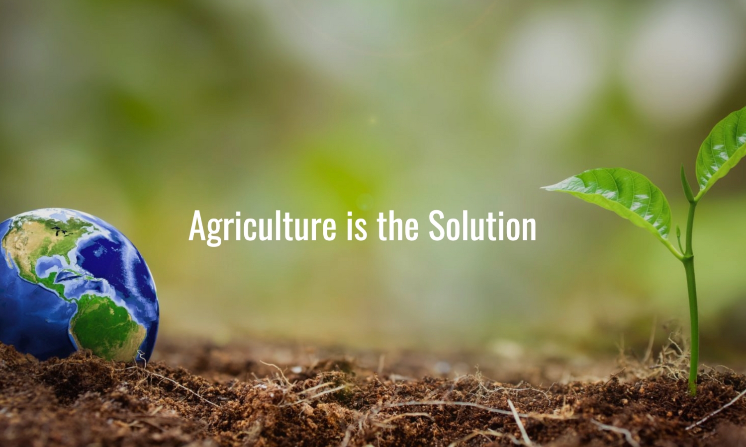 Agriculture is the solution logo